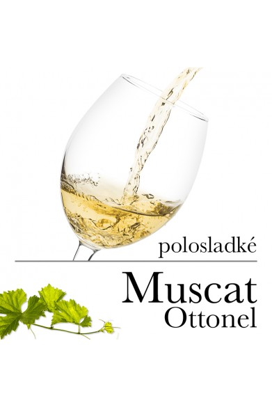 Muscat Ottonel polosladké (stáčené včetně lahve) 1l sklo