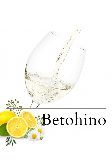 Betohino Svachovka 7,2% alk (stáčený včetně lahve) 1l sklo